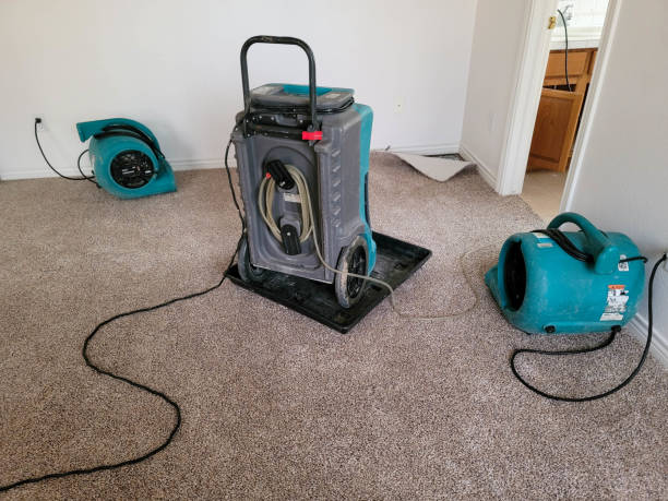 Best Local water damage restoration  in Hughesville, MD