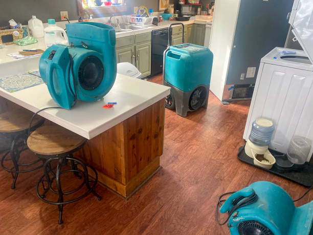 Best Water damage contractors near me  in Hughesville, MD
