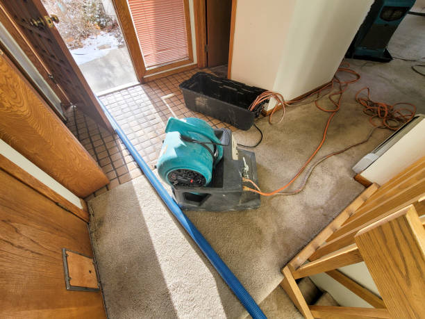 Best Water damage restoration cost  in Hughesville, MD