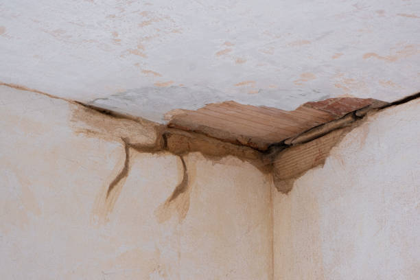 Best Fire Damage Restoration  in Hughesville, MD