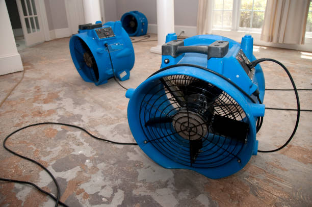 Best Flooded house restoration  in Hughesville, MD