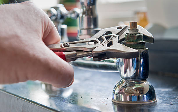 Best Mold removal after water damage  in Hughesville, MD
