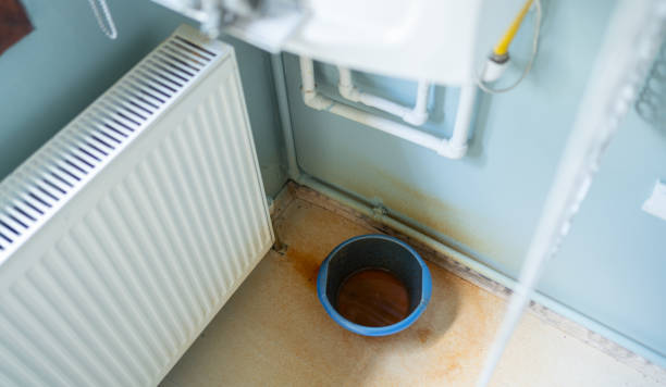 Best Carpet water damage restoration  in Hughesville, MD