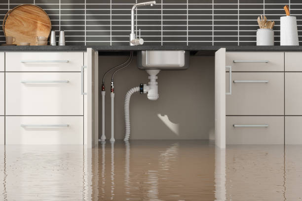 Best 24/7 water damage repair  in Hughesville, MD