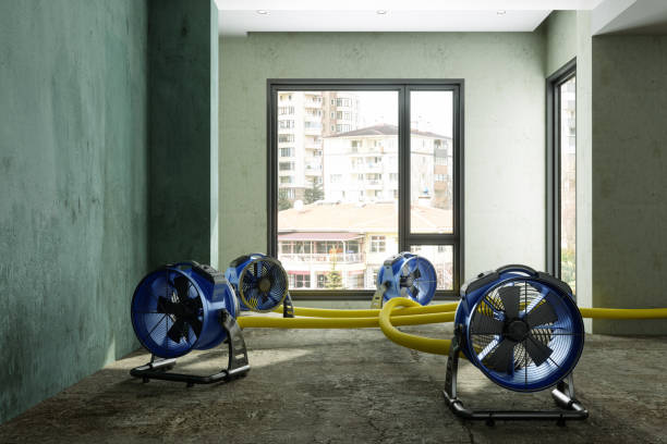 Best Water damage restoration near me  in Hughesville, MD